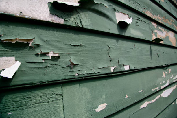 Best Commercial Junk Removal  in Chehalis, WA